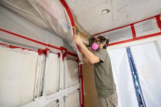 Best Residential Mold Inspection & Testing  in Sturgis, KY